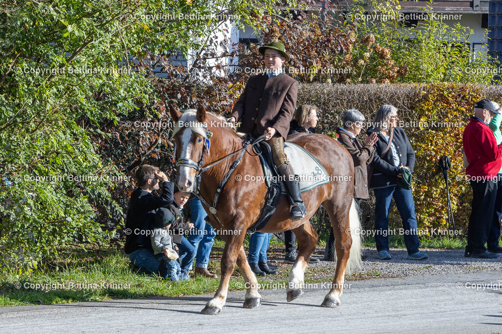 LBT24-720 | foto-bettina-krinner - Realisiert mit Pictrs.com
