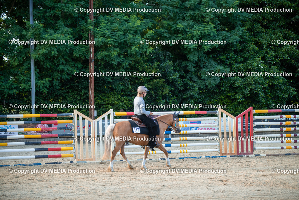 EWP_7306 | dv-media-shop - Realisiert mit Pictrs.com