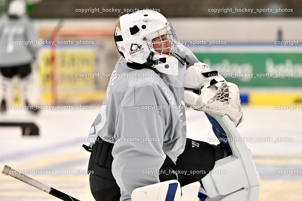 Z9B_3810 | hockey sports photos, Pressefotos, Sportfotos, hockey247, win 2day icehockeyleague, Handball Austria, Floorball Austria, ÖVV, Kärntner Eishockeyverband, KEHV, KFV, Kärntner Fussballverband, Österreichischer Volleyballverband, Alps Hockey League, ÖFB, 