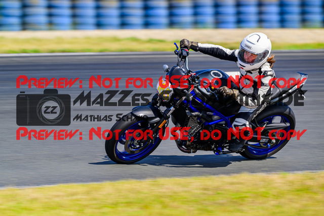 MaZZes_FotoMatrix_240724_6007705_2-50 | GELB