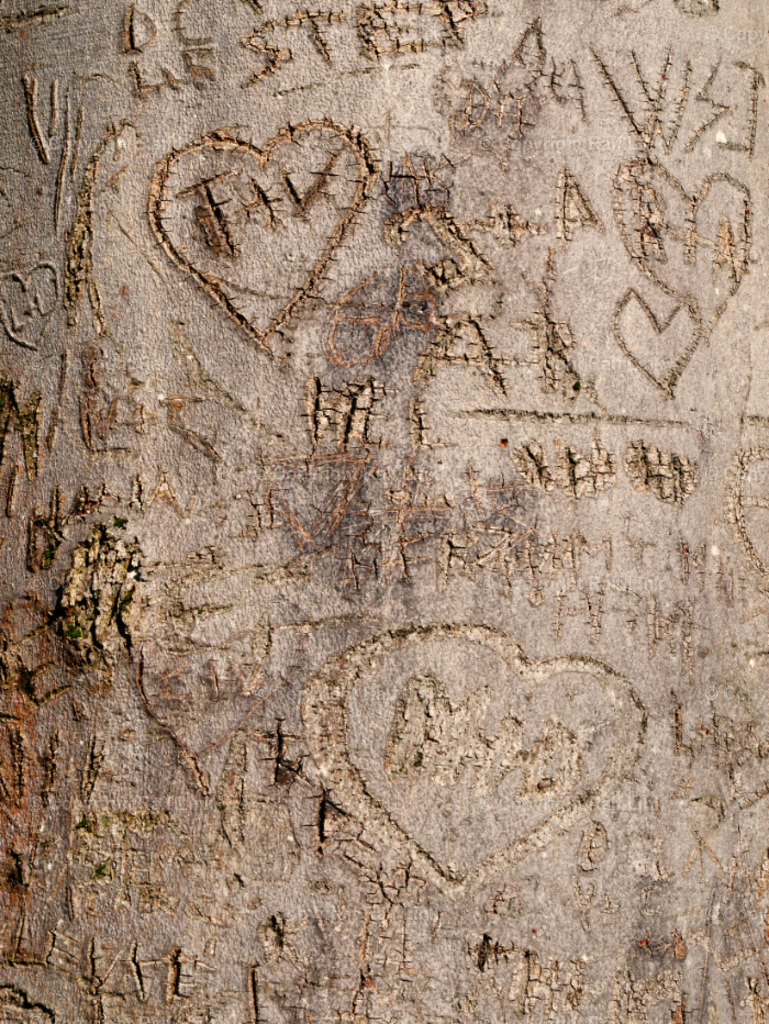 Baumrinde mit Inschrift_03 | Stockfotos, Fotos mit Miniaturfiguren und kreativen Ideen. Dabei auch vieles aus der Metropolregion Rhein-Neckar. 
