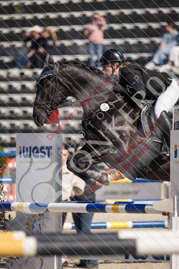 IMG_3360 | Sport-, Event- und Tierfotos in Profiqualität. Einfach auswählen, bestellen und herunterladen. Dein Moment – perfekt festgehalten.
