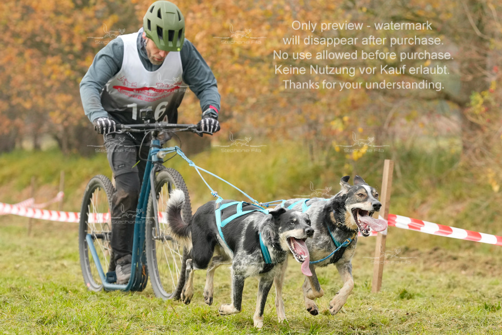 AusschnitteSa-203 | stephaniefillaphotographie - Realisiert mit Pictrs.com