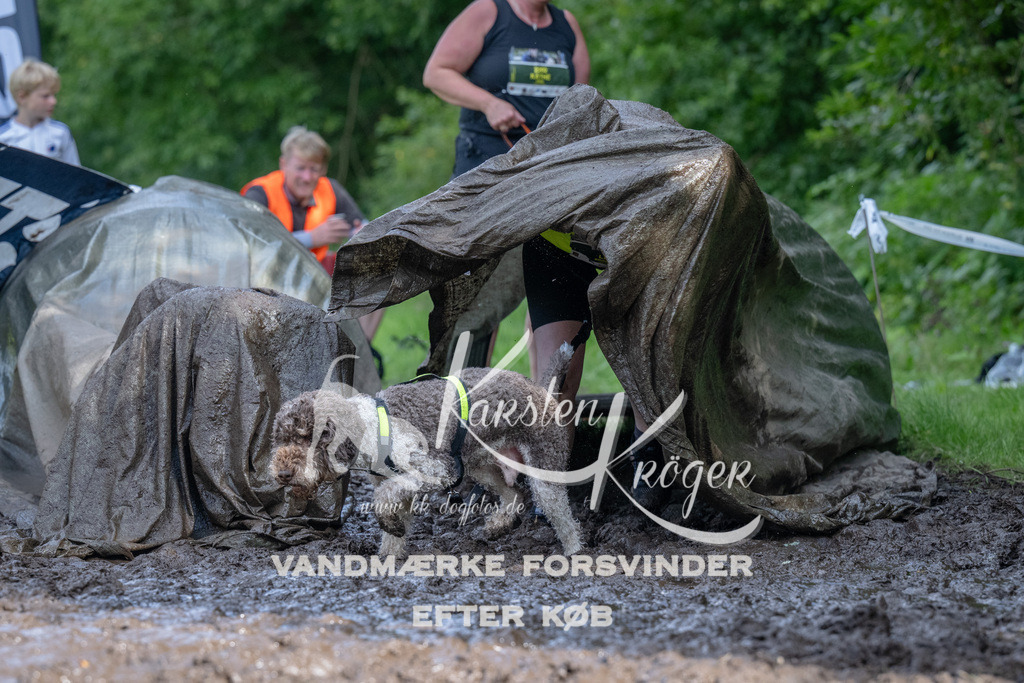 1629_ZZ93334 | kk-dogfotos