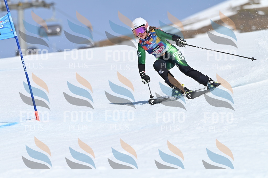 BGV_9984 | holidayphoto