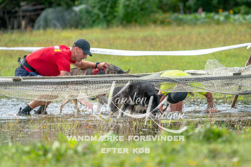 1107STR_1887 | kk-dogfotos