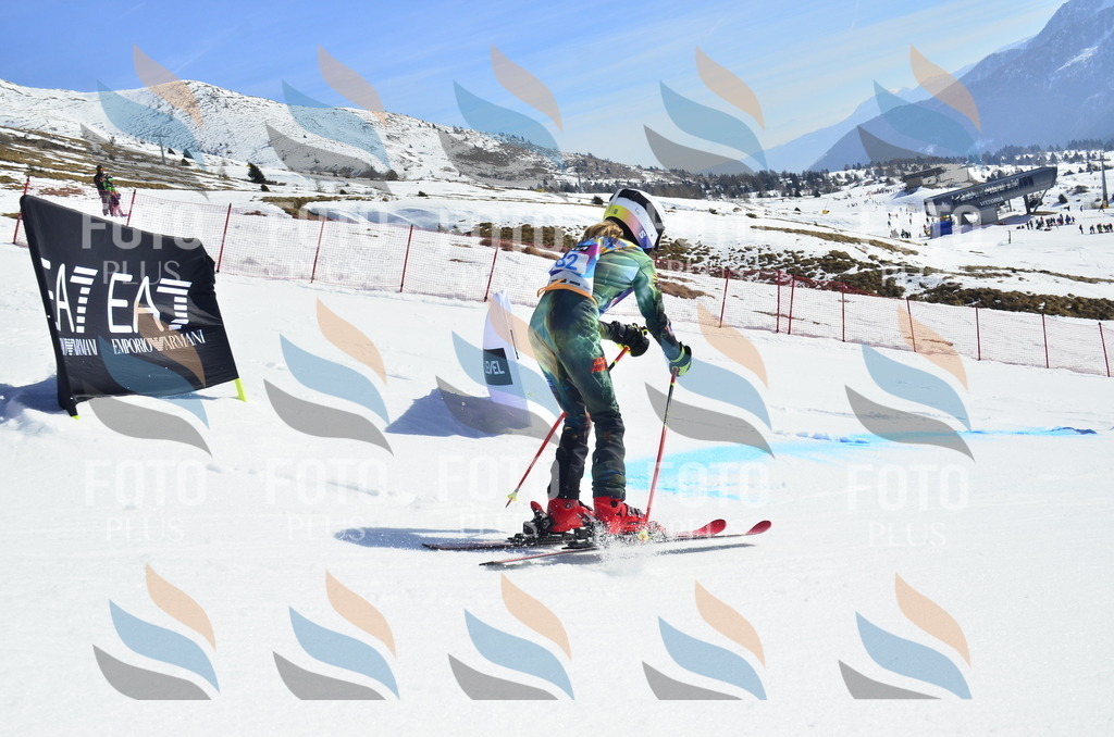 _ELE0428 | holidayphoto