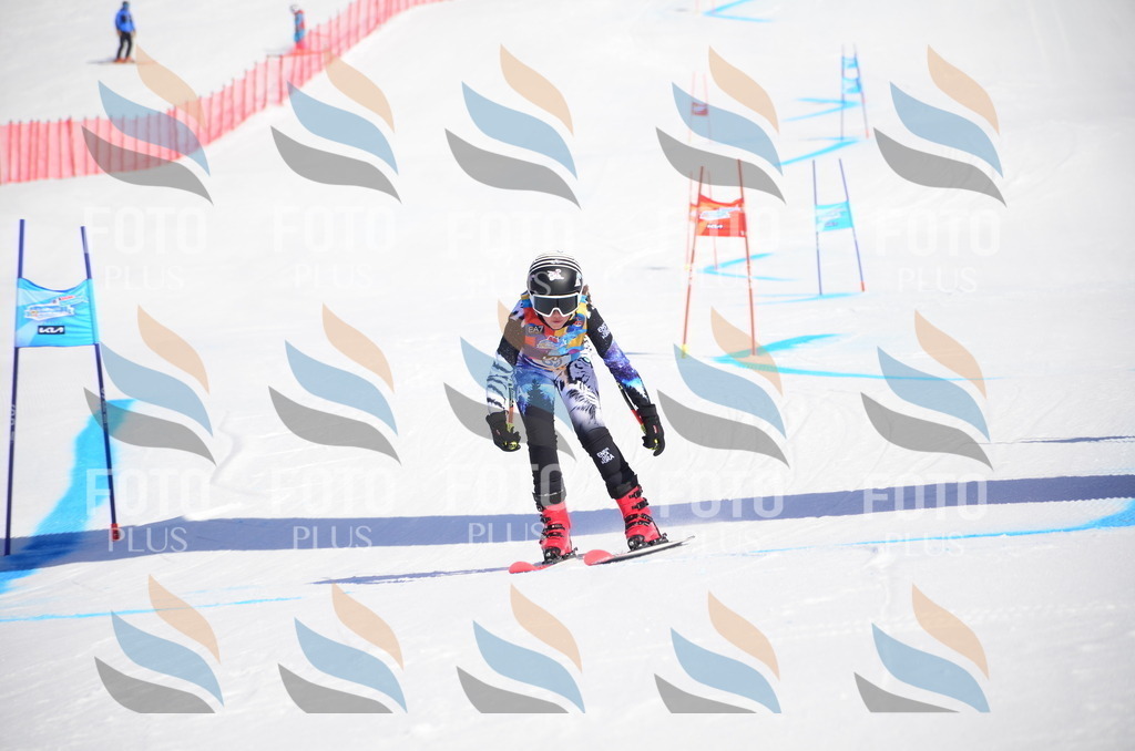 VR4_9198 | holidayphoto