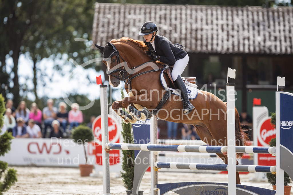 230827_Delbrueck_A-Spr2-821 | Deine schönsten Turniermomente als professionelle Fotos! Entdecke hochwertige Pferdesport-Fotografie im Online-Shop. Jetzt Fotos finden & bestellen!