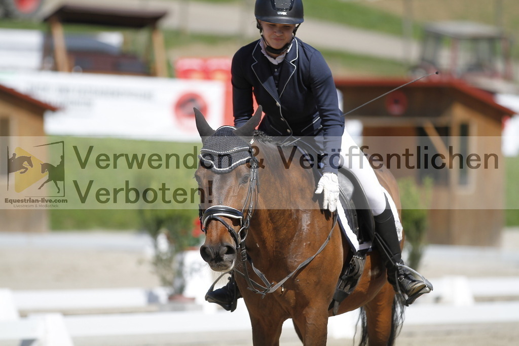 _MG_6672 | equestrian-live-com