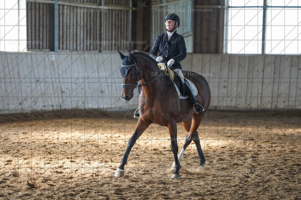 20230917-FAH09879 | Landsberg am Lech, 2023, Kaufbeuren, Kempten, Allgäu, Turnierfotografen Bayern, Fotoagentur Herrmann, Turnierbilder, Reitsport Fotos, Pferdefotograf, Augsburg, Bad Tölz, Dachau, Karlsfeld, Memmingen, Buchloe, Schwabmünchen