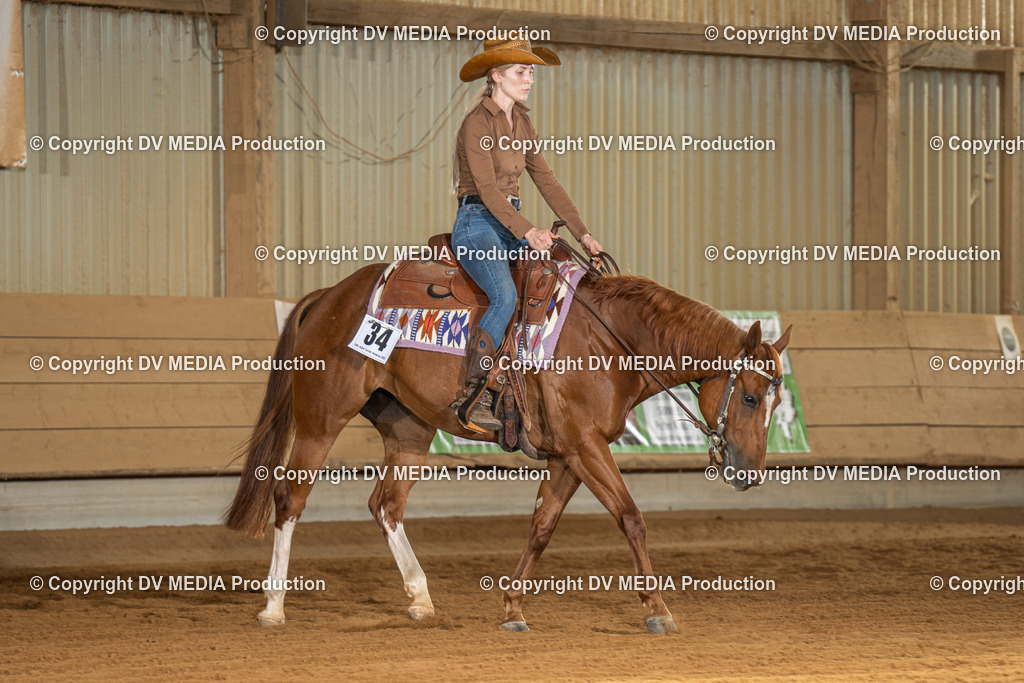 NID01839 | dv-media-shop - Realisiert mit Pictrs.com