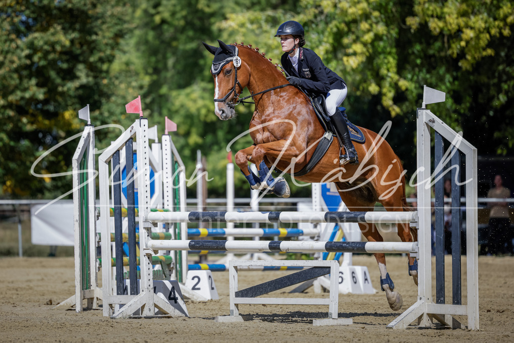20250906-_3LI3990 | Tierfotografie Pferde, Hunde, Katzen, Haustiere.
Turnierfotografie Reitturniere, Reiten, Springreiten, Dressur in Hanau, dem Main-Kinzig-Kreis und dem Rhein-Main- Gebiet um Frankfurt