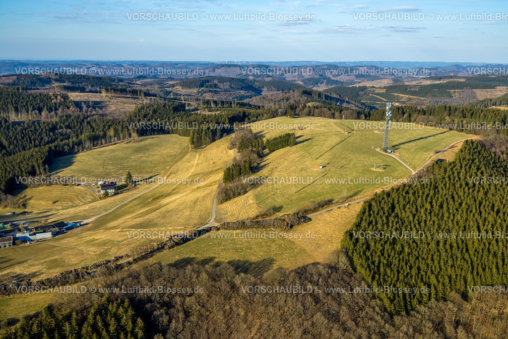 Sundern250309852WildeWiese | Luftbild, Ortsansicht und blauer Himmel mit Fernsicht, Aussichtsturm Schomberg Richtfunkturm, Wildewiese-Homert genannter Hauptkamm des Homertrückens, Waldgebiet mit Waldschäden, Skigebiet im Winter, Wildewiese, Sundern, Sauerland, Nordrhein-Westfalen, Deutschland