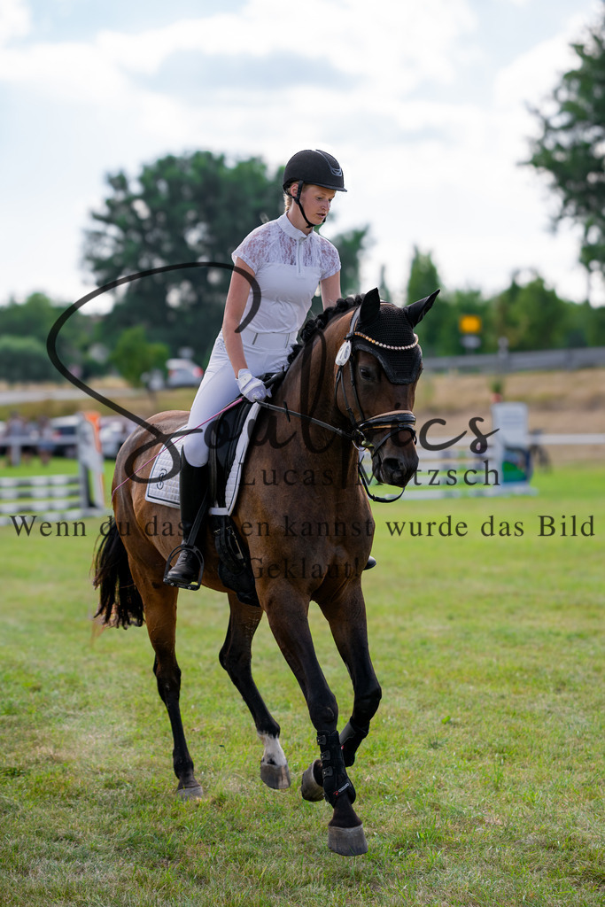 A7V00530 2 | Turnier/Reitfotograf