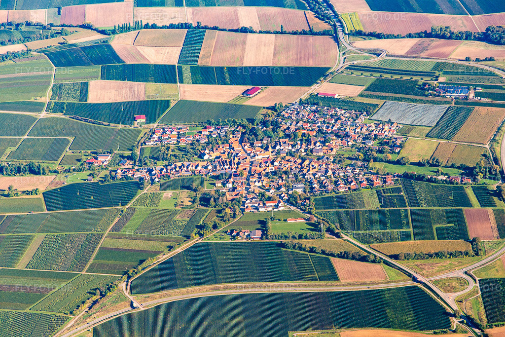 Luftbild: Dorf von Süden in Impflingen im Bundesland Rheinland-Pfalz in Deutschland. Foto: IMG_143508.jpg vom 29.09.2024 durch Werner Riehm/FLY-FOTO.de