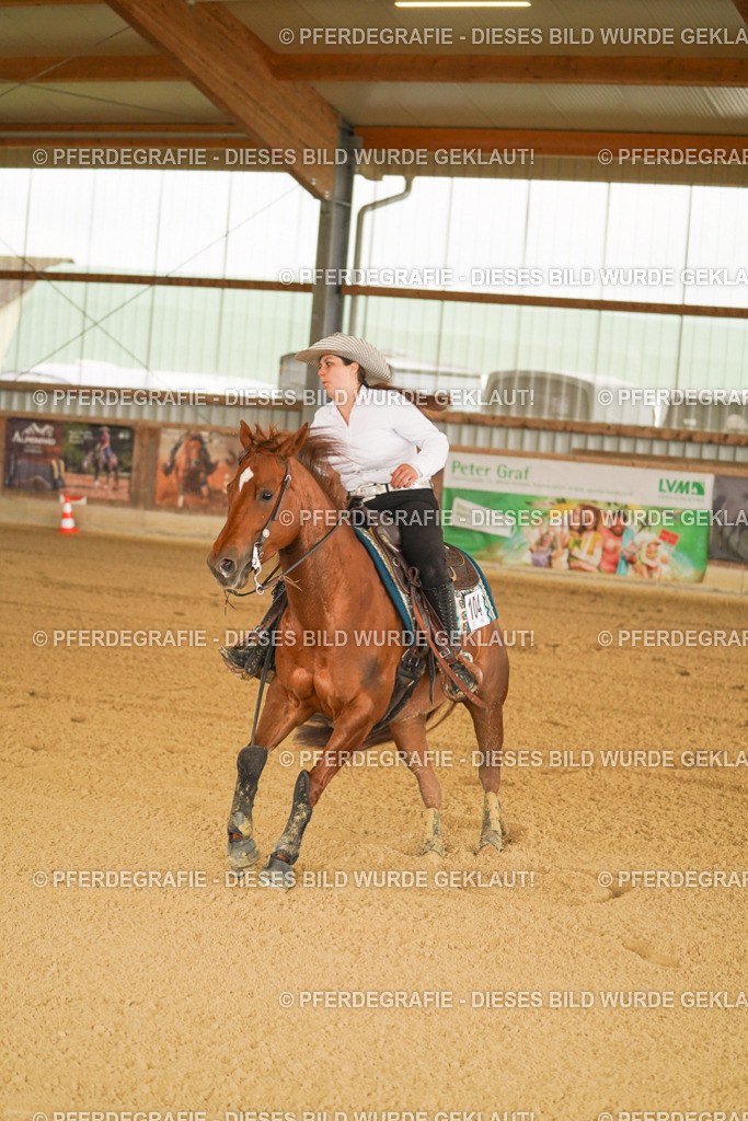 DSC00392 | Pferdegrafie