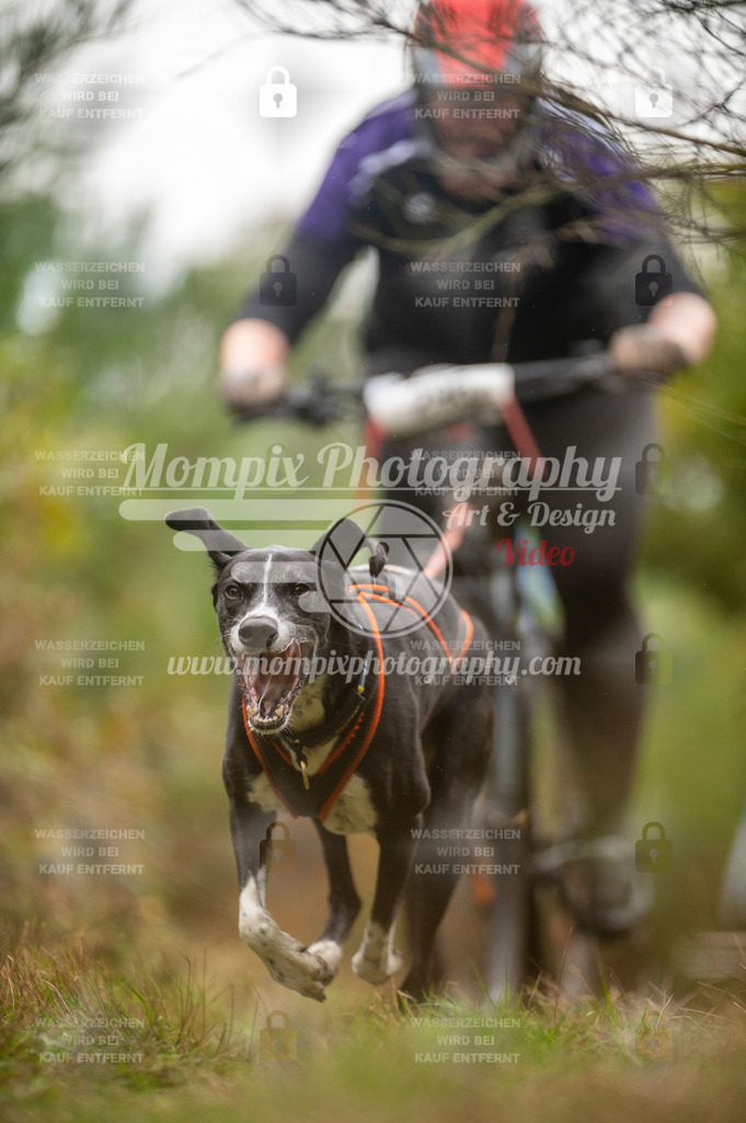 TSB_2023_E5_Bike-58 | PayLife