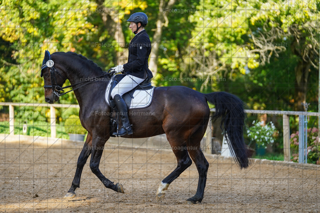 20221007-FAH00164 | Diessen am Ammersee, 2022, Dressur- und Springturnier, Reitsportbilder, Turnierfotografen Bayern, Pferdefotografen, Fotoagentur Herrmann, Turnierbilder