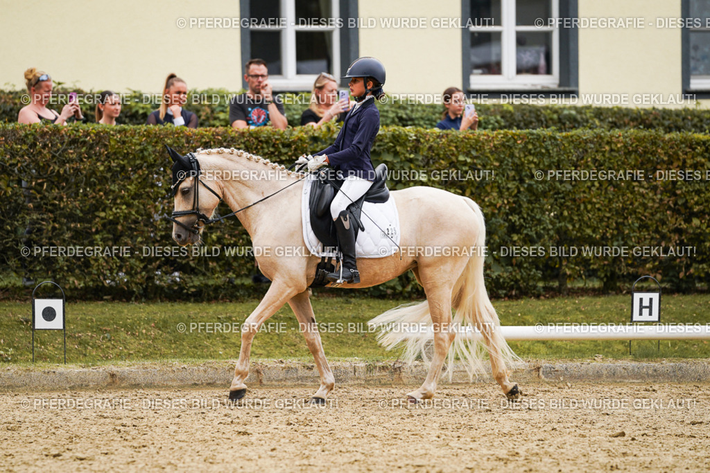 DSC00453 | Pferdegrafie