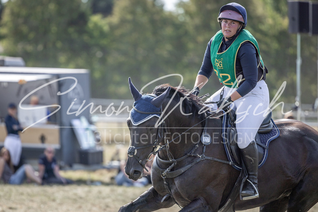 20250907-_3LI2334 | Tierfotografie Pferde, Hunde, Katzen, Haustiere.
Turnierfotografie Reitturniere, Reiten, Springreiten, Dressur in Hanau, dem Main-Kinzig-Kreis und dem Rhein-Main- Gebiet um Frankfurt