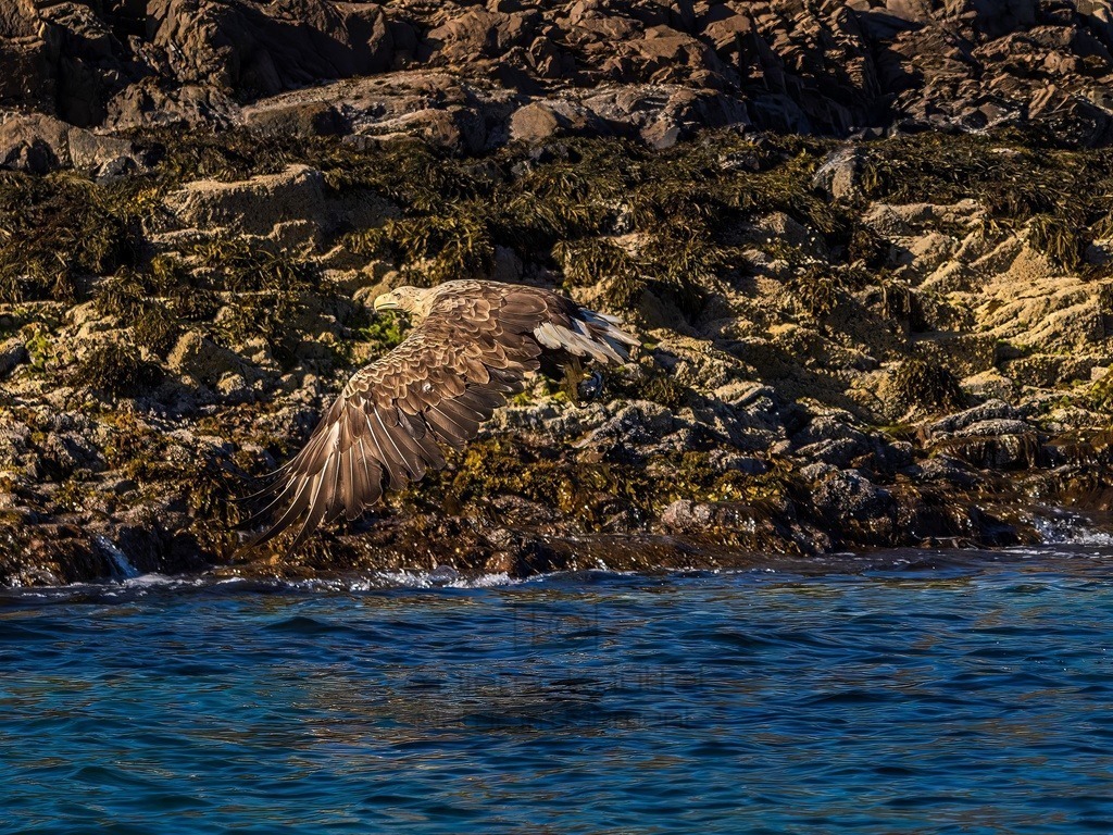 P1001638-LR-topaz-denoise-enhance | Natur im Moment - Realisiert mit Pictrs.com