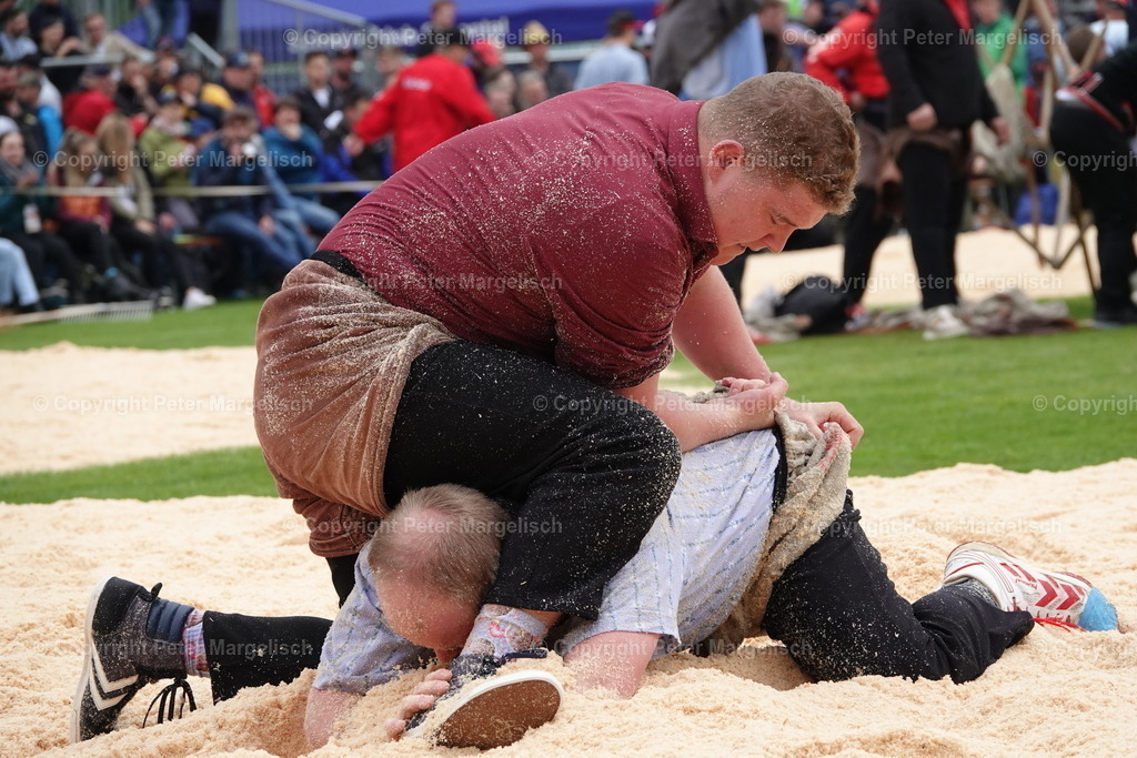 DSC03837 | Schwingen - Realisiert mit Pictrs.com