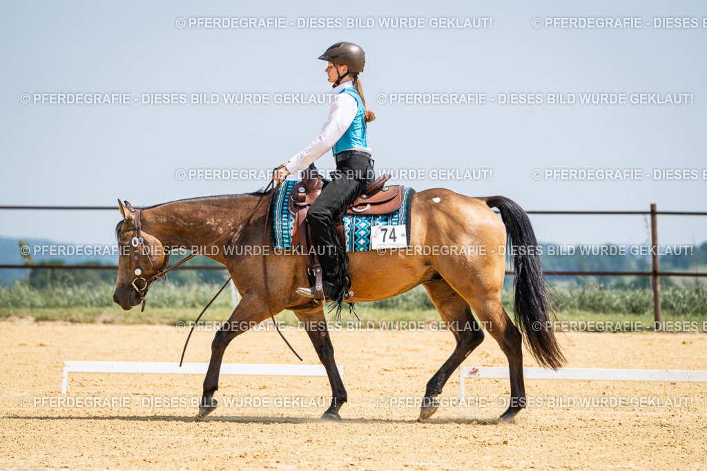 DSC00982 | Pferdegrafie