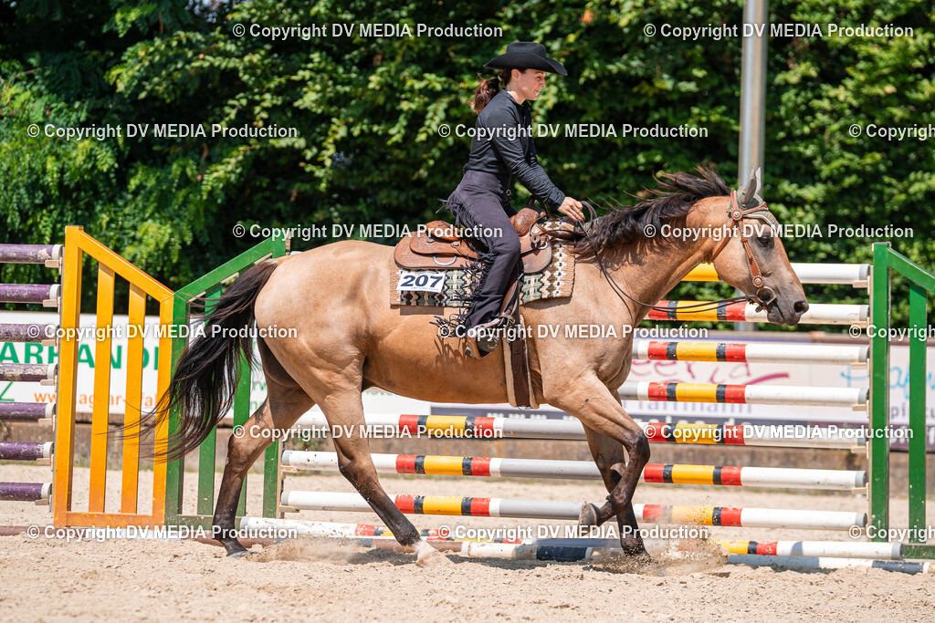 Zeiskam Tag 1-558 | dv-media-shop - Realisiert mit Pictrs.com