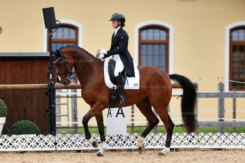 11-048-Dressur S___-StoibPH-1398 | working equitationturnier fotograf videograf stoibphotography marixx film working equitation deutschland reitsport turnierfotografie eventfotografie equestrian events