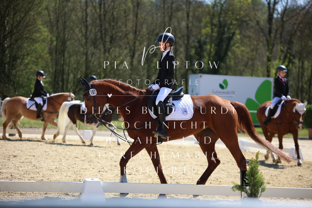 IMGT1157 | pl-fotografie