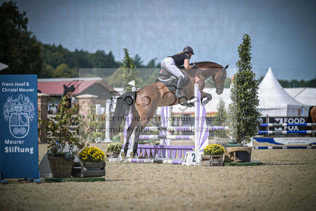 DOS_3951 | Entdecke hochwertige Reitturnierfotos von Foto Oger. Professionell, emotional und authentisch – jetzt Lieblingsmomente im Shop bestellen.Deutschlandweite Turnierfotografie. - Realisiert mit Pictrs.com