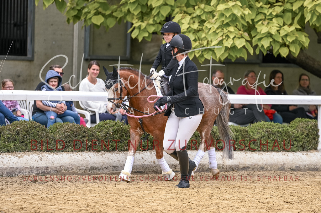 Schugtsche-Aluta25-45.FührzügelWB-70 | Schugtsche Fotografie - Realisiert mit Pictrs.com