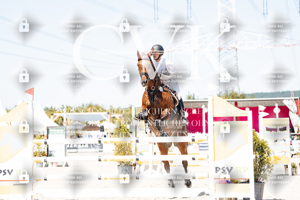 CK909491 | Turnierfotografie Pferdefotografie Trier Rheinland-Pfalz Pferdesport Reitsport Tierfotografie Sportfotografie Pferdevideo Pferdevideografie Equestrianvideography equestrianphotography  - Realisiert mit Pictrs.com