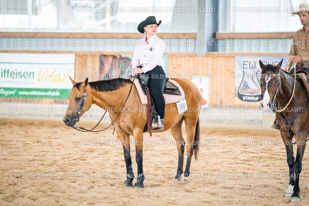 DSC00467 | Pferdegrafie