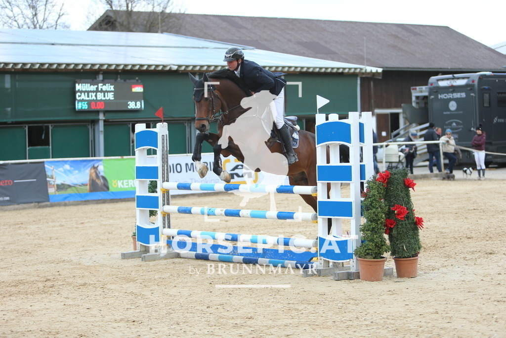 DL2Q9315 | Willkommen bei Brunnmayr - Design & Fotografie – Ihrem Spezialisten für Reitturniere und Pferdeveranstaltungen in Oberösterreich, Salzburg und Bayern! Seit über 17 Jahren sind wir leidenschaftlich dabei.