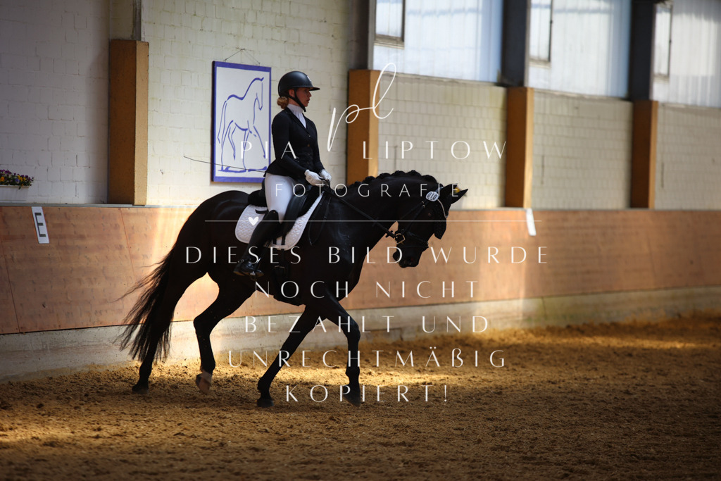 IMGT7453 | pl-fotografie