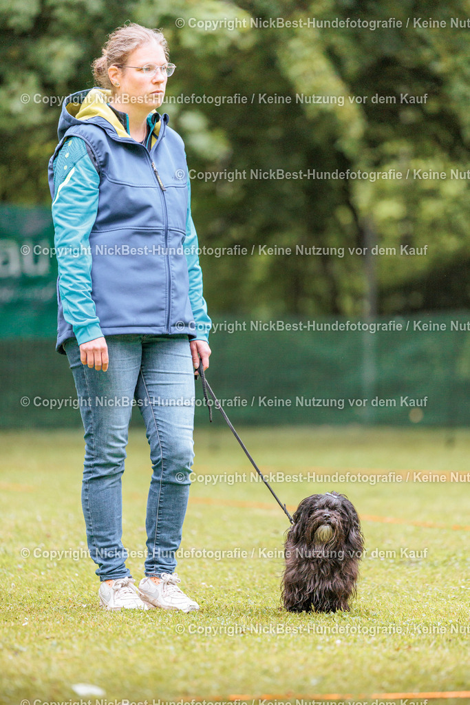 RO-Blumenthal-2026-Nickbest-Hundefotografie-0857 | Dein Hund! Dein Moment! Deine Erinnerungen! Hundefotografie in Bremen Blumenthal. Ich fange die besonderen Momente deines Vierbeiners ein – ob Indoor mit Blitzanlage oder in der freien Natur. Sicher dir dein Moment und dein Termin für eure Erinnerungen.