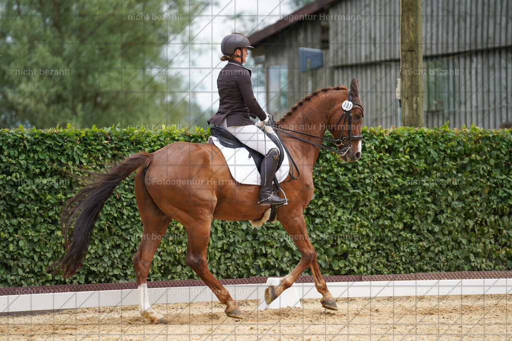 20240630-FAH02095 | Turnierbilder Schwabmünchen, Dressurbilder, Springreitturnier, Reitsportbilder, Turnierfotografen Bayern, Turnierfotograf