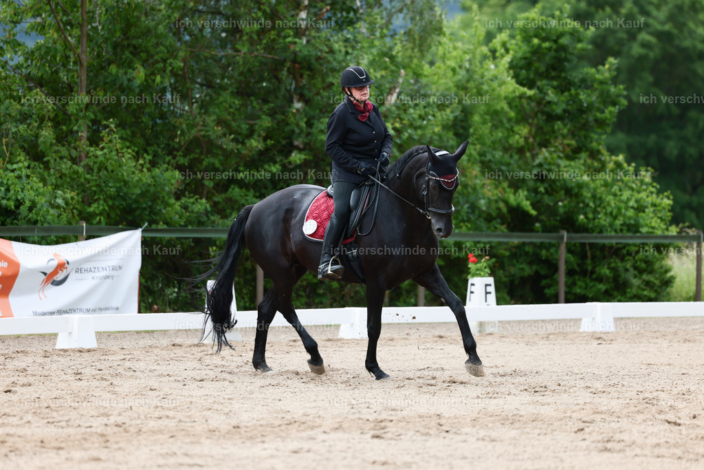 KlasseE_Stoibphotography_CAM21935.JPG | working equitationturnier fotograf videograf stoibphotography marixx film working equitation deutschland reitsport turnierfotografie eventfotografie equestrian events