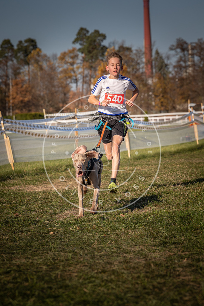 CaniXpix_0L8A7550 | Hundefotografie, Tierfotograf, Pfotenfotografie, Fotoshooting Hund, Hunde Portrait, Hundesport, Hundeportraits, Heideshooting, Hunde, Sportfotograf, Hundefotograf, Turnierhundsport, THS,  - Realisiert mit Pictrs.com