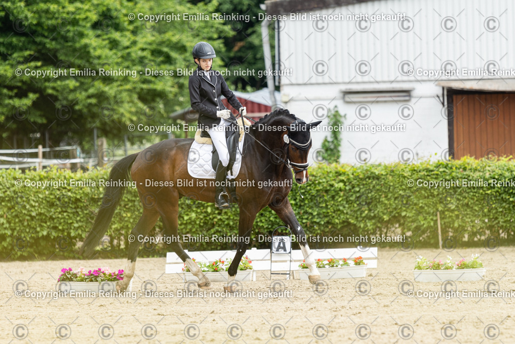 CL5A0032 | Emilia Reinking Fotografie - Realisiert mit Pictrs.com