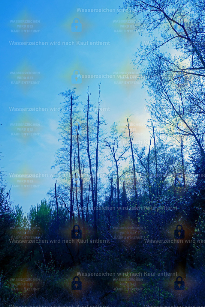 P1100856 | Fotoseite Wolkenblende - Das Hobby fotografieren begleitet mich schon  viele  Jahre. Auf den nächsten Seiten zeige ich ein paar Schnappschüsse der letzten Jahre und es kommen immer neue hinzu. Schau einfach mal rein. - Realisiert mit Pictrs.com