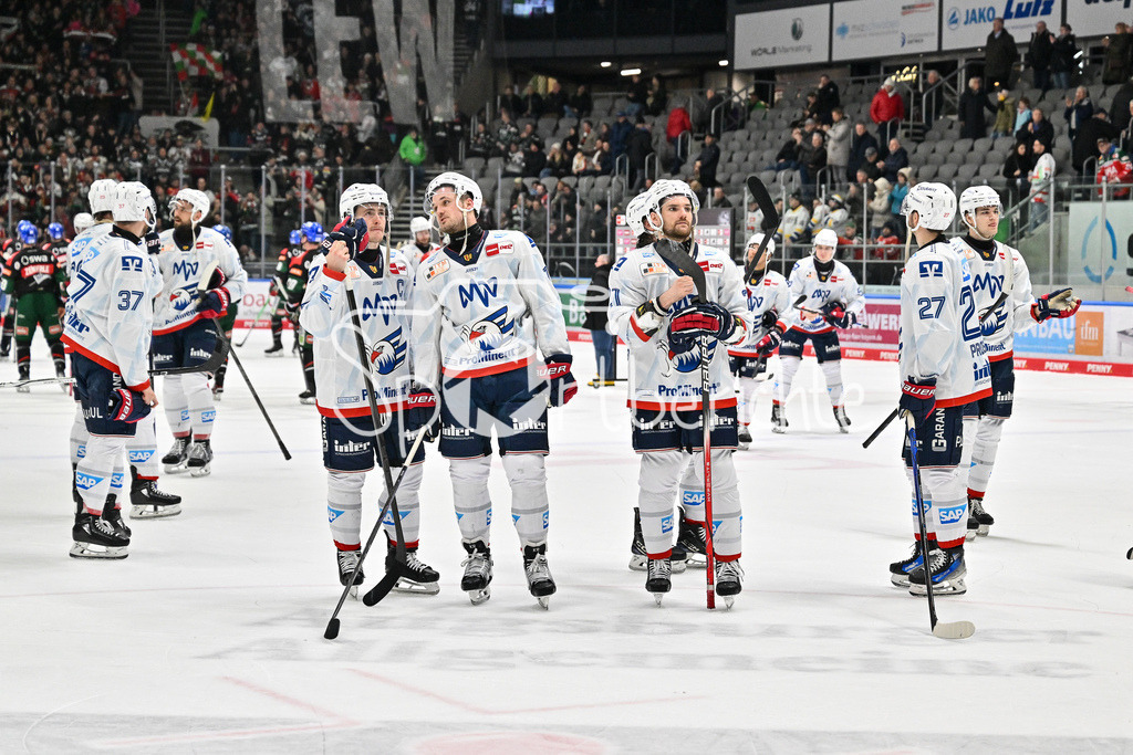 Augsburger Panther - Adler Mannheim | Die Spieler der Adler feiern zusammen mit den mitgereisten Fans den Sieg in Augsburg / DEL: Augsburger Panther - Adler Mannheim, Curt Frenzel Stadion am 16.02.2025