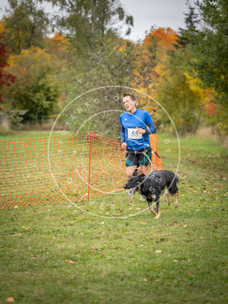 Pfotenfotografie_DV3A2562 | Hundefotografie, Tierfotograf, Pfotenfotografie, Fotoshooting Hund, Hunde Portrait, Hundesport, Hundeportraits, Heideshooting, Hunde, Sportfotograf, Hundefotograf, Turnierhundsport, THS,  - Realisiert mit Pictrs.com