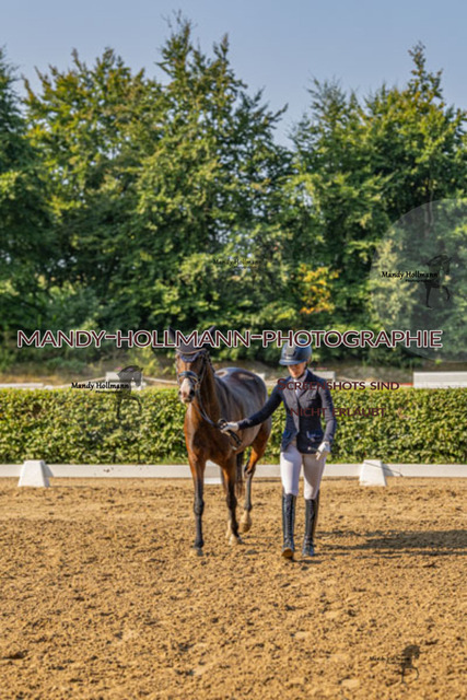 15.8.25 D1 RPF 3j (145 von 255) | mandyhollmannphotographie