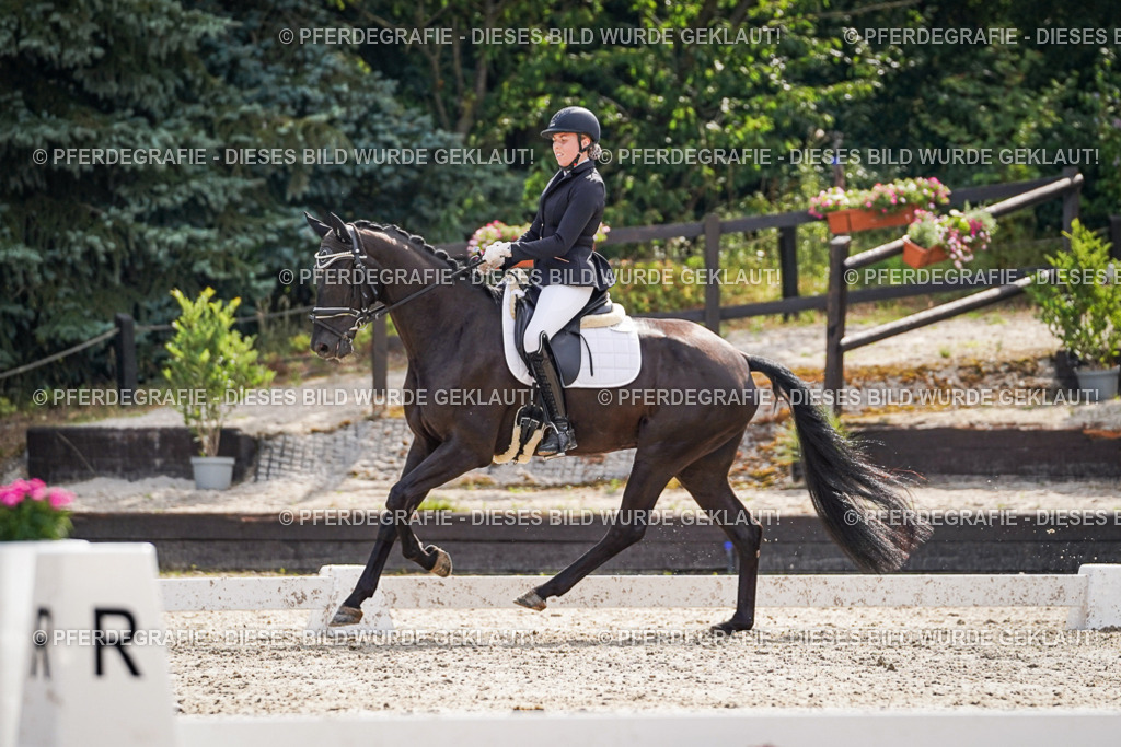 DSC07141 | Pferdegrafie