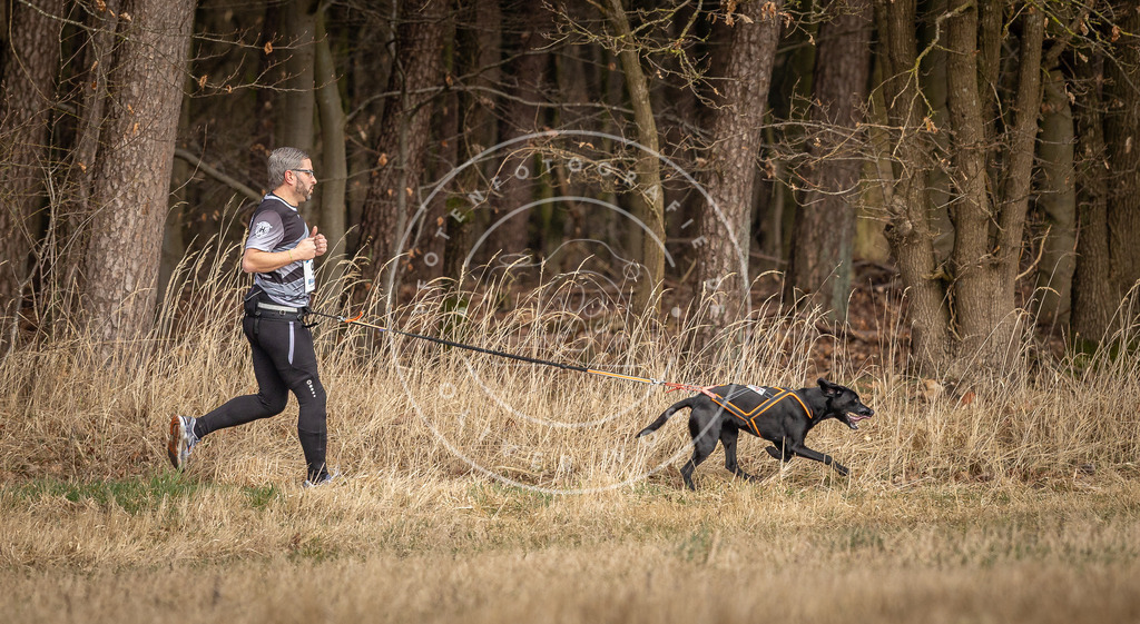 DV3A4199 | Hundefotografie, Tierfotograf, Pfotenfotografie, Fotoshooting Hund, Hunde Portrait, Hundesport, Hundeportraits, Heideshooting, Hunde, Sportfotograf, Hundefotograf, Turnierhundsport, THS,  - Realisiert mit Pictrs.com