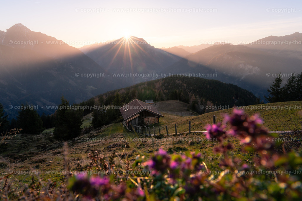 Laberg Herbst copyright  Thomas Pfister-18 | PHOTOGRAPHY BY THOMAS PFISTER