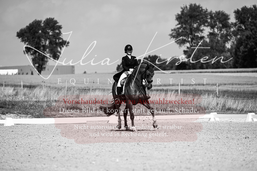 DSC_2844 | Pferde- und Turnierfotografie in Westsachsen. Pferdeportraits, Auftragszeichnungen und intuitive Kunst.
